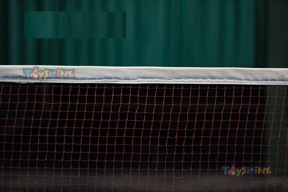 Toyshine Badminton Tournament Net for Indoor and Outdoor Sports Garden Schoolyard Backyard (20 FT x 2.5 FT) Synthetic (SSTP)