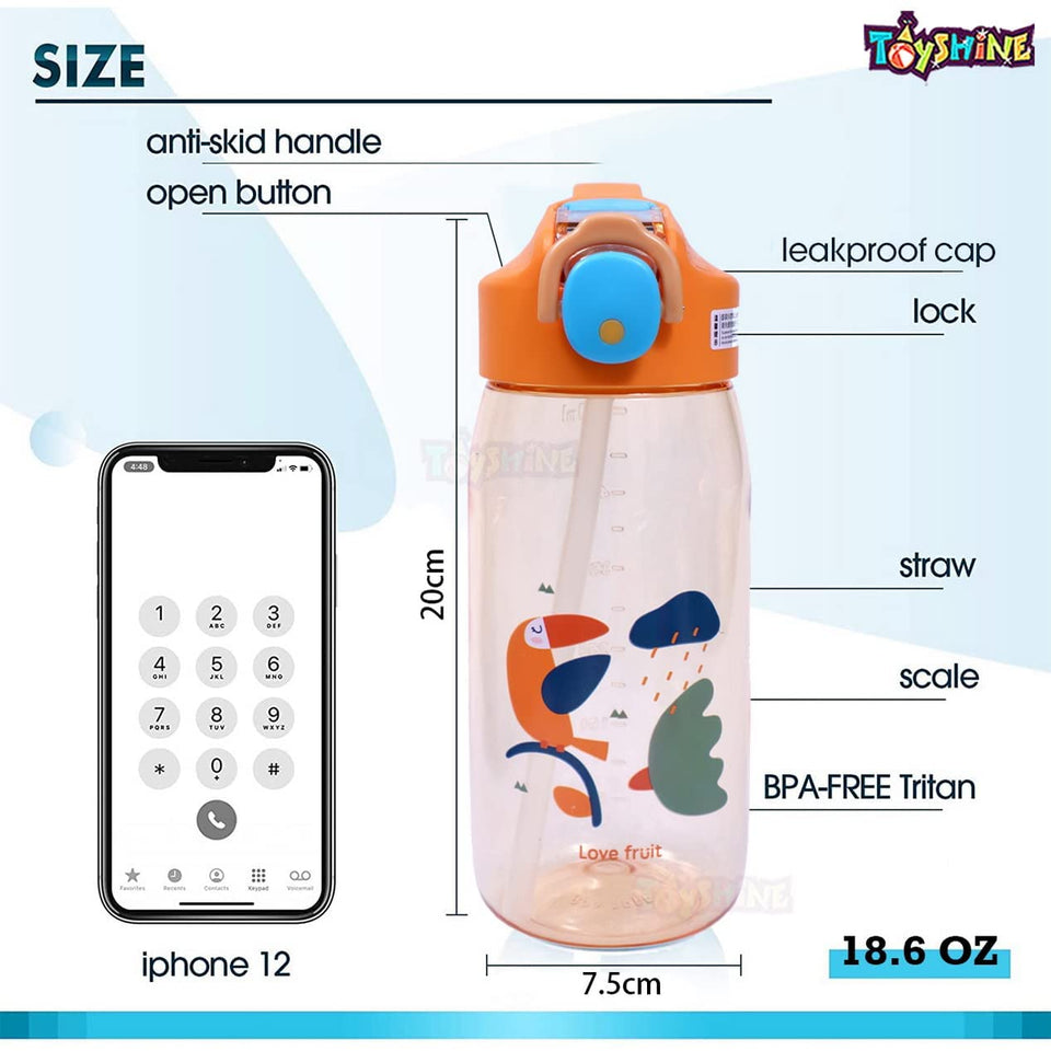 Toyshine Set of 2 Space Dino Hardtop Pencil Case with Tritan Grip Bottle - Kids Large Capacity School Supply Organizer Students Stationery - Boys Pen Pouch