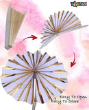 Toyshine Combo Party Decoration Combo | Wall Decor Fans with Balloons