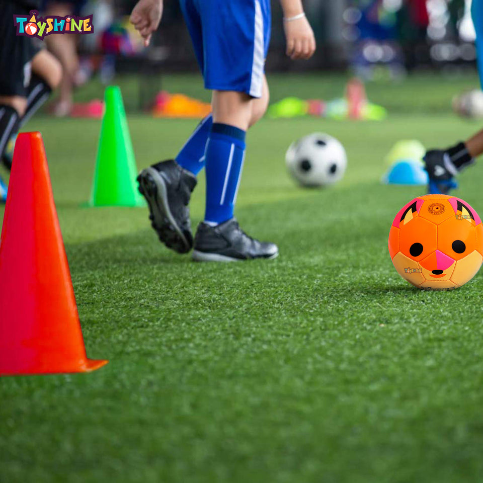 Toyshine Sports Combo - Fox Football, 3 pc (6 Inches) Stacking Cones, 6 Pc Space Markers (SSTP)