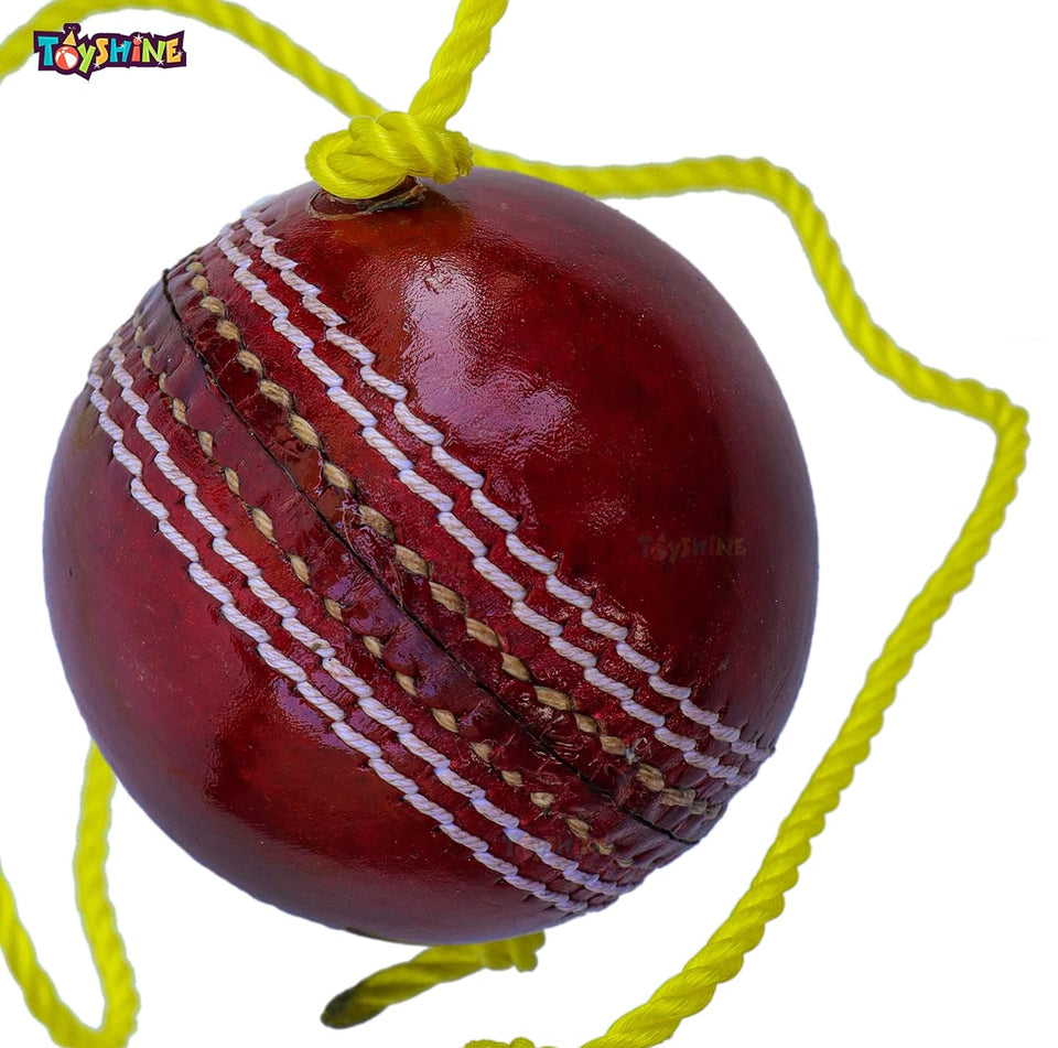 Toyshine SSTP Leather Hanging Cricket Ball for Shot Practice , Red - Standard Size