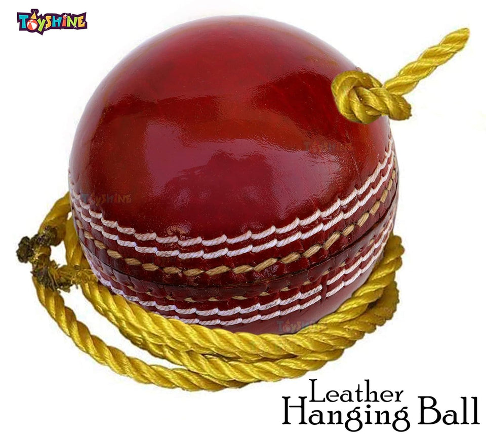 Toyshine SSTP Leather Hanging Cricket Ball for Shot Practice , Red - Standard Size