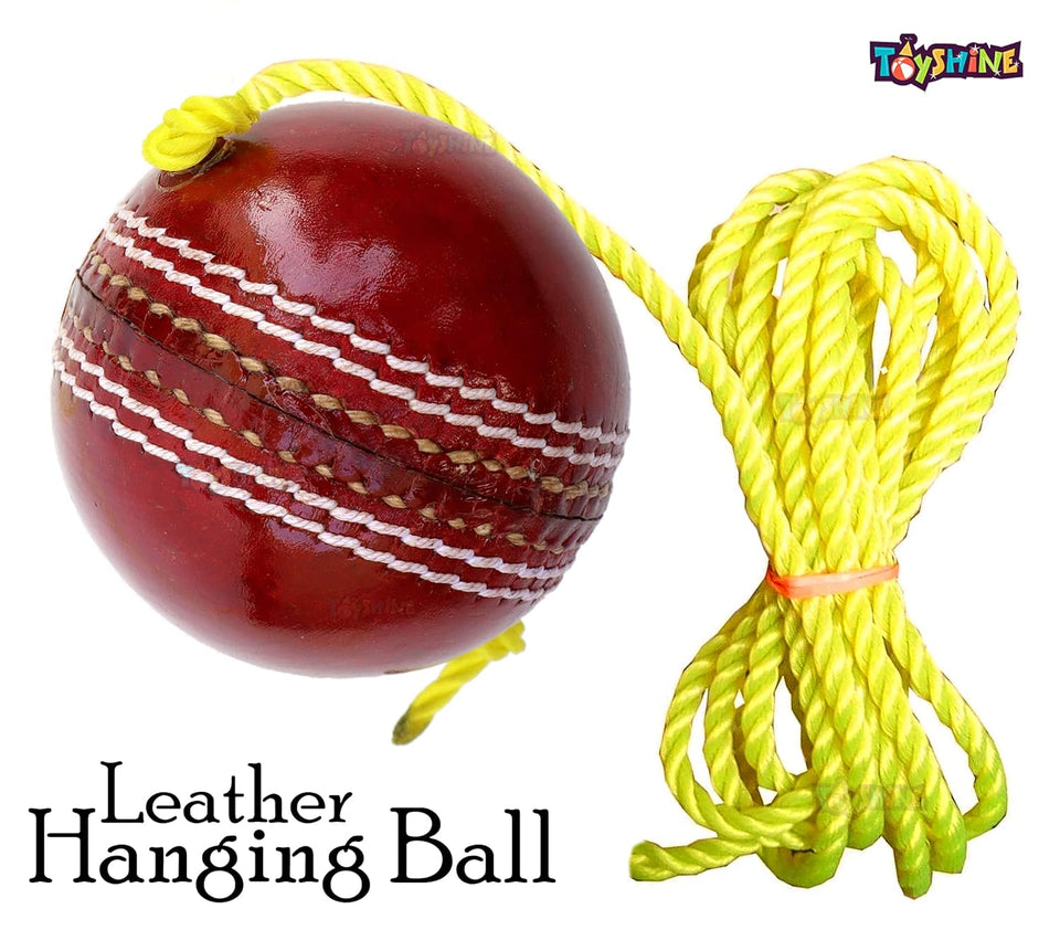 Toyshine SSTP Leather Hanging Cricket Ball for Shot Practice , Red - Standard Size