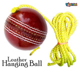 Toyshine SSTP Leather Hanging Cricket Ball for Shot Practice , Red - Standard Size
