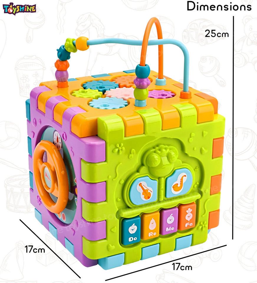 Toyshine 6 in 1 Educational Shape Sorter Baby Activity Cube Montessori Toy Gift for Babies 6-18 Months