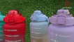 Spanker Fazer All In 1 Motivational Leakproof Water Bottle Gallon with Handle, Time Marker 2000ML, BPA Free Fitness Sports Water Bottle, (Red Purple) SSTP