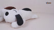 Toyshine Pack of 6 Soft Toy for Kids Boy Girl Baby | Soft Feather Cotton Fabric, Sleeping Dog, Off White Black, 24 Cms, Return Gift Set