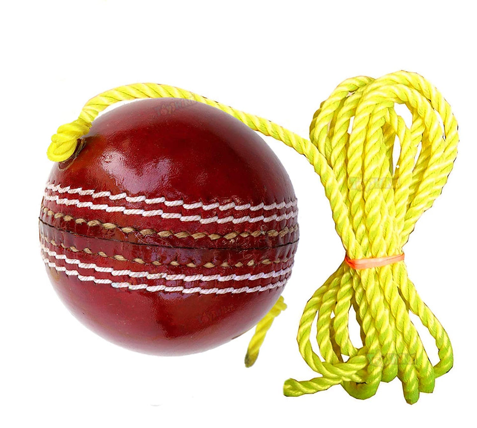 Toyshine SSTP Leather Hanging Cricket Ball for Shot Practice , Red - Standard Size