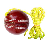 Toyshine SSTP Leather Hanging Cricket Ball for Shot Practice , Red - Standard Size