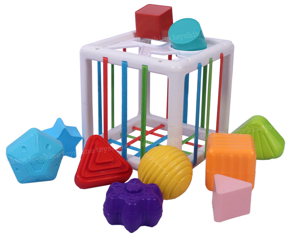 Toyshine Shape Sorter Baby Toys, Montessori Toys for 1 Year Old Boys Girls, Activity Cube Sensory Bin for Babies Toddlers 6 12 18 Months, Birthday Gifts- Small