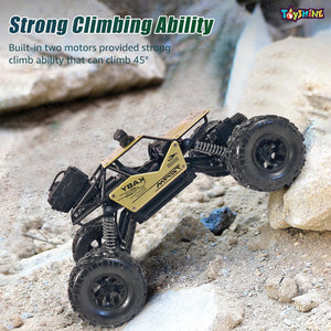 Toyshine 1:16 Scale 27MHZ Rock Crawler Monster RC Truck with Booster Spray Function All Terrain Stunt Racing Car Rechargeable Indoor Outdoor Toy Car - Golden