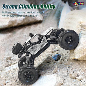 Toyshine 1:16 Scale 27MHZ Rock Crawler Monster RC Truck with Booster Spray Function All Terrain Stunt Racing Car Rechargeable Indoor Outdoor Toy Car - Silver