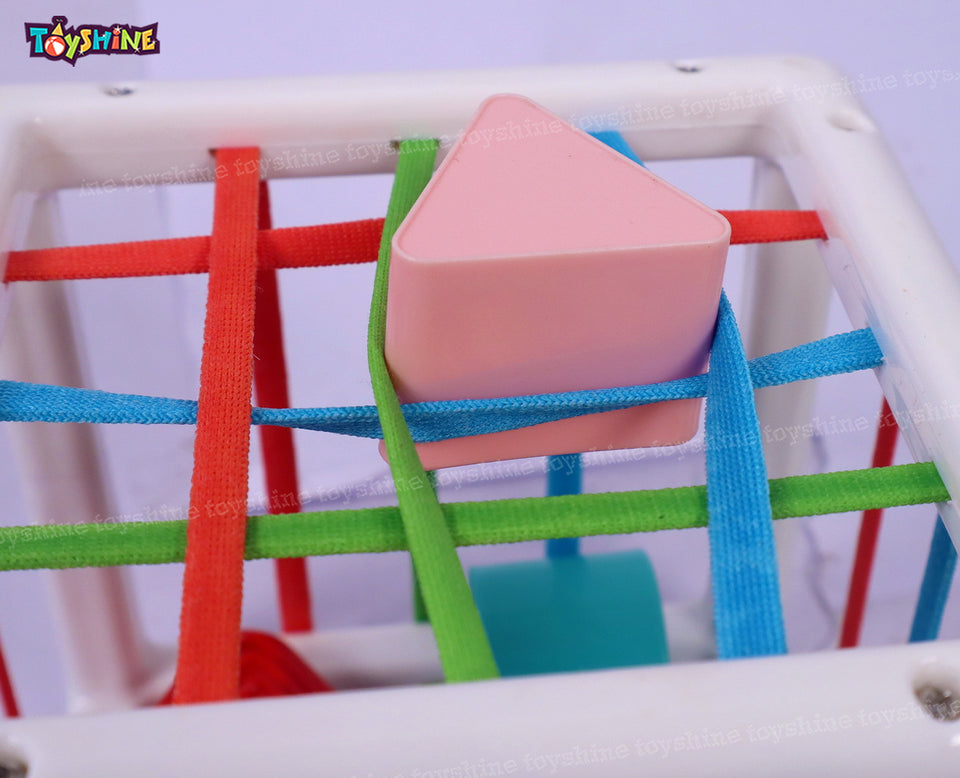 Toyshine Shape Sorter Baby Toys, Montessori Toys for 1 Year Old Boys Girls, Activity Cube Sensory Bin for Babies Toddlers 6 12 18 Months, Birthday Gifts- Small