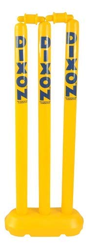 Toyshine Cricket Sports Set | Unbreakable ABS Plastic | Size: 3 | 4-7 Years , Multicolor - SSTP