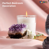 Toyshine Crystal Making Lab STEM Educational Learning Creative Fun Science Project DIY Activity Toy Kit for Boys and Girls 8+