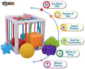 Toyshine Shape Sorter Baby Toys, Montessori Toys for 1 Year Old Boys Girls, Activity Cube Sensory Bin for Babies Toddlers 6 12 18 Months, Birthday Gifts- Small