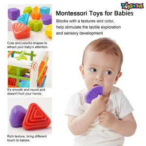 Toyshine Shape Sorter Baby Toys, Montessori Toys for 1 Year Old Boys Girls, Activity Cube Sensory Bin for Babies Toddlers 6 12 18 Months, Birthday Gifts- Small