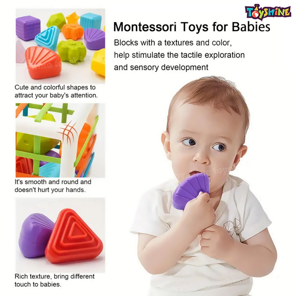 Toyshine Shape Sorter Baby Toys, Montessori Toys for 1 Year Old Boys Girls, Activity Cube Sensory Bin for Babies Toddlers 6 12 18 Months, Birthday Gifts- Small