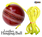 Toyshine Cricket Hanging Ball for Shot Practice in (Leather) (SSTP)