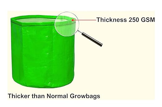 Spanker Grow Bags 250 GSM (18x18) Inch with Drain Holes for Terrace Gardening - Strong & Durable - Pack of 6 SSTP