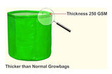 Spanker Grow Bags 250 GSM (18x18) Inch with Drain Holes for Terrace Gardening - Strong & Durable - Pack of 6 SSTP