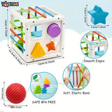 Toyshine Shape Sorter Baby Toys, Montessori Toys for 1 Year Old Boys Girls, Activity Cube Sensory Bin for Babies Toddlers 6 12 18 Months, Birthday Gifts- Small
