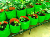 Spanker Grow Bags 250 GSM 12x12 inch (30x30cm) with Drain Holes for Terrace Gardening - Strong & Durable - Pack of 4 SSTP
