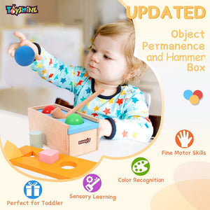 Toyshine Wooden 2 in 1 Wooden Ball Hammer Pound Shape Sorter Toy for Toddlers, 7 Shapes, 3 Balls 1 Hammer Toy Montessori Toys for Baby Boys & Girls Interactive Learning fine Motor Skills Toy