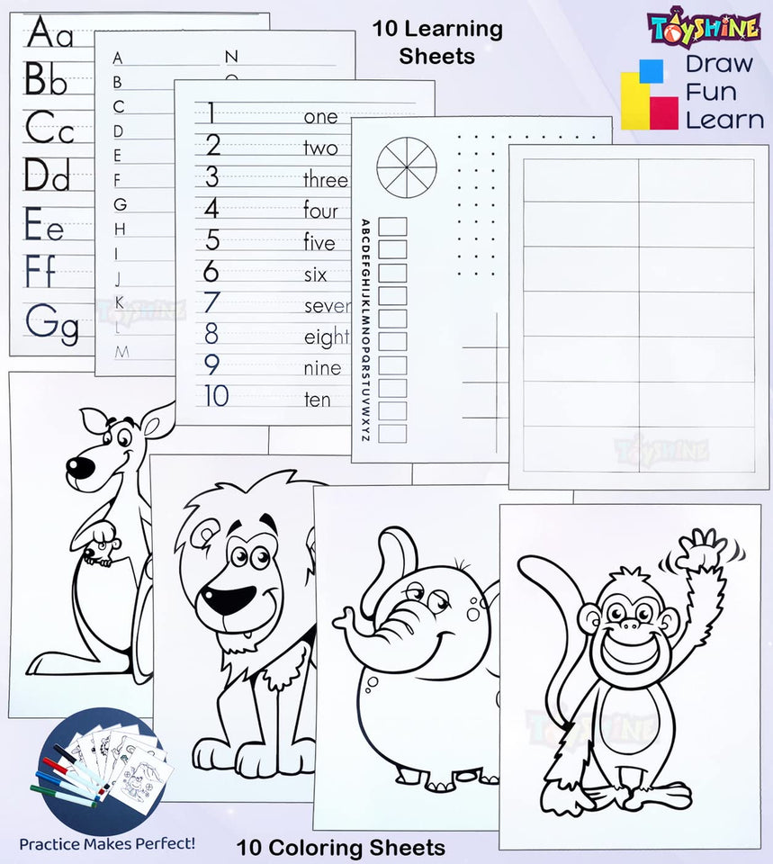 Toyshine Wipe and Clearn Doodle Board Magic Draw and Write Board with Resuable Sheets