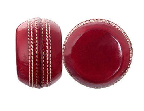 Toyshine in Swing, Out Swing, Seam, Throw Cricket Leather Ball Training Practice Bowling Disc ,Red SSTP Standard Size