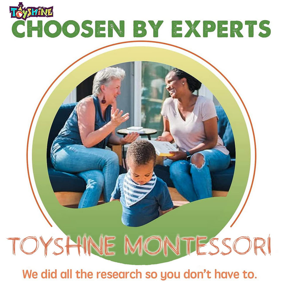 Toyshine Montessori Combo | Ring Stacker, Fishing Game, Numbers Learning, Writing Board