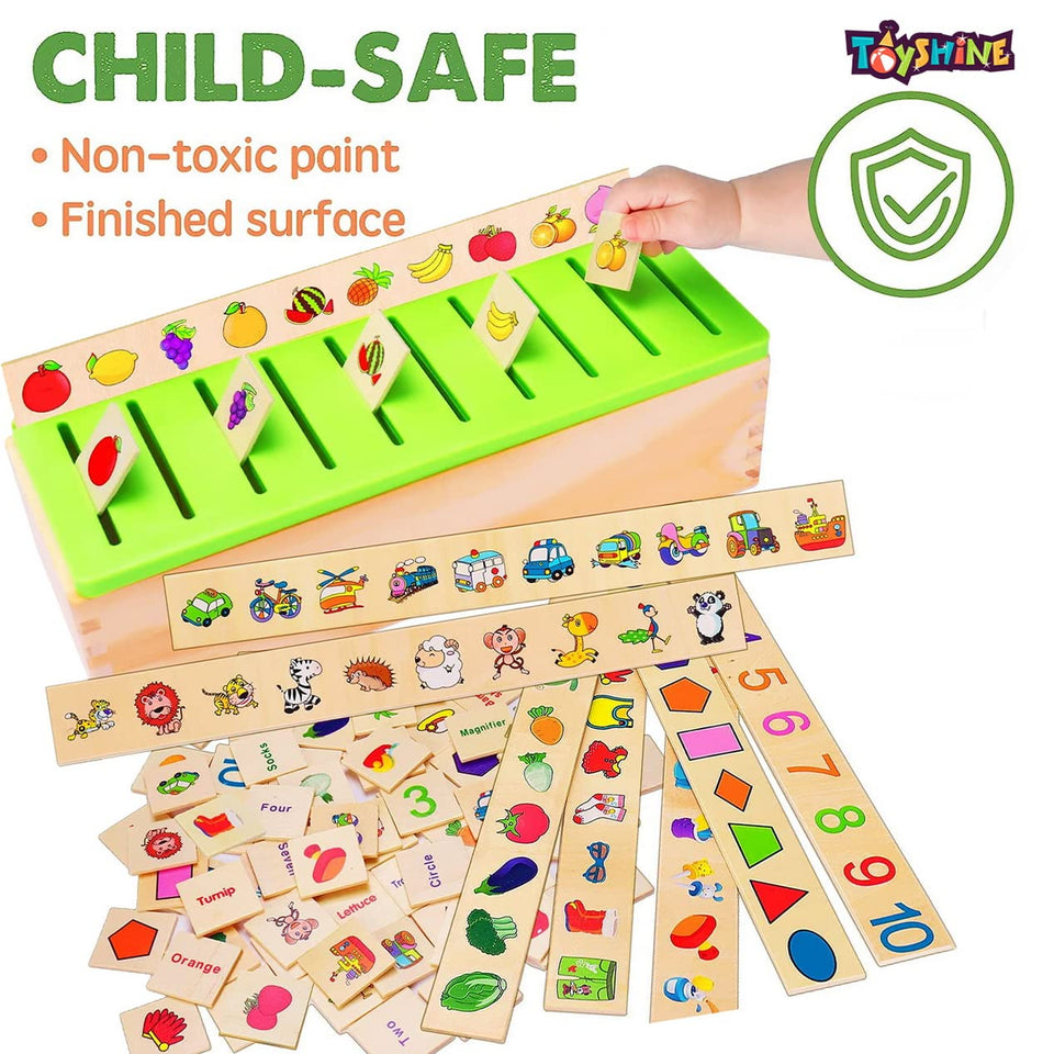 Toyshine Wooden Montessori Combo | Classification Box and Ramp Race