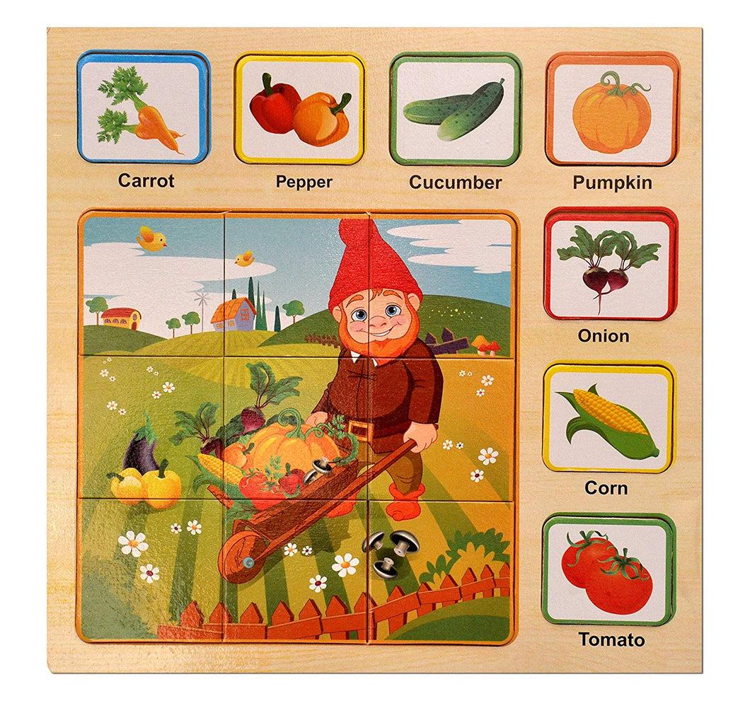 Toyshine Wooden Puzzle Toy, Educational and Learning Toy
