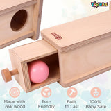 Toyshine Wooden Montessori Materials Object Permanence Box for Toddlers (Object Permanence Box w/ Drawer)