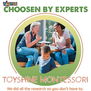 Toyshine Pack of 3 Wooden Monstessori Toys | Wooden Ramp Race, Animal Building Blocks and Classification Box | Gift Present for 2-5 Years Boy Girl Toddler Toy