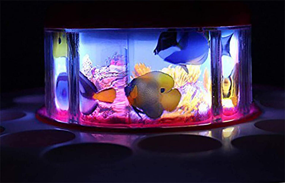 Toyshine Fish Catching Game Big with 26 Fishes and 4 Pods, Includes Music and Lights (Multicolor)