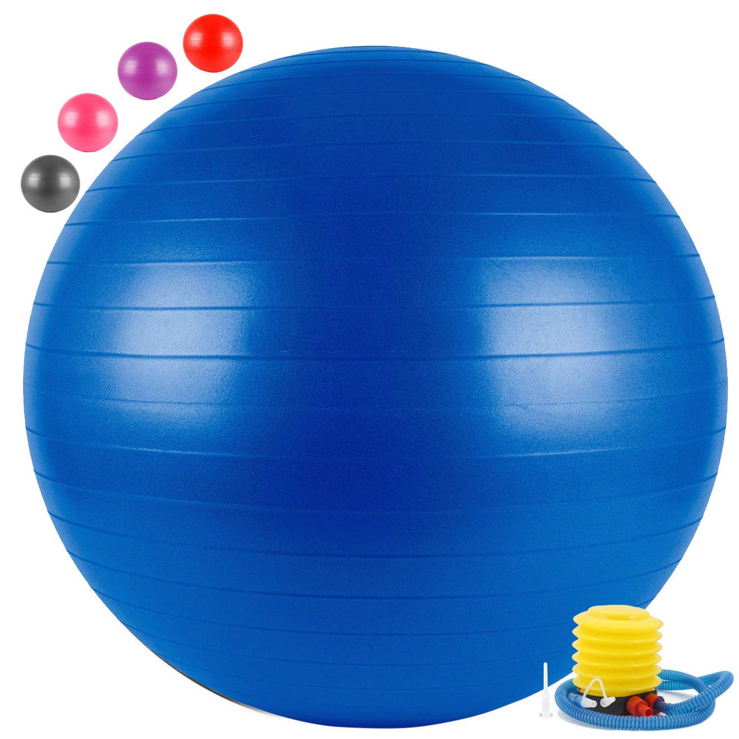 Toyshine Gym Ball, Exercise Equipment for Core Strength, Yoga and Fitness with Pump, 65 cm, Color May Vary (SSTP) (TS-2022)