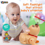 Toyshine Dancing Dog -II with Music Flashing Lights - Cream